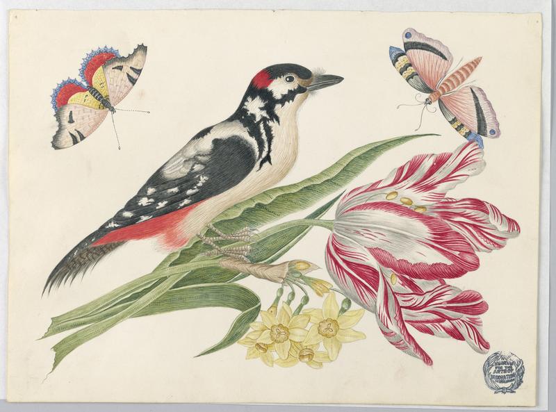 Black-and-White Mottled Bird on Tulip Stem, with Daffodils and Butterflies