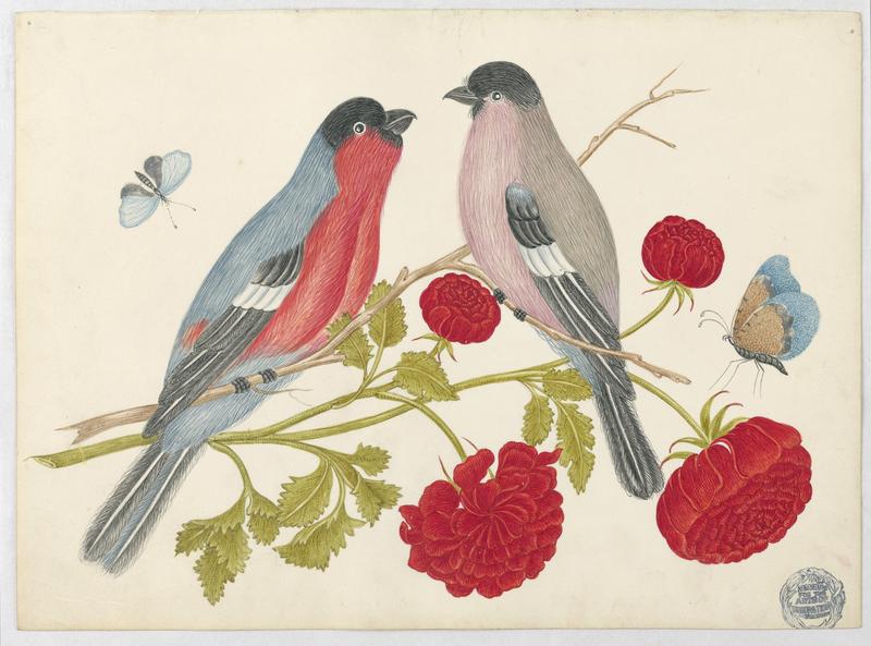 Pair of Birds on Branch with Roses and Butterflies