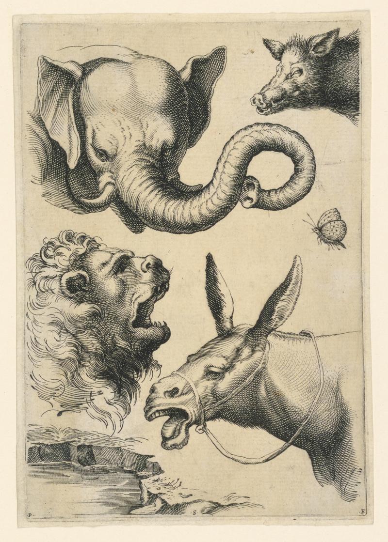 Heads of an elephant, boar, lion, donkey and a butterfly, plate from the "Scuola Perfetta per Imparare a Disegnare tutto il corpo Humano Cavata dallo studio e disegni de Caracci"