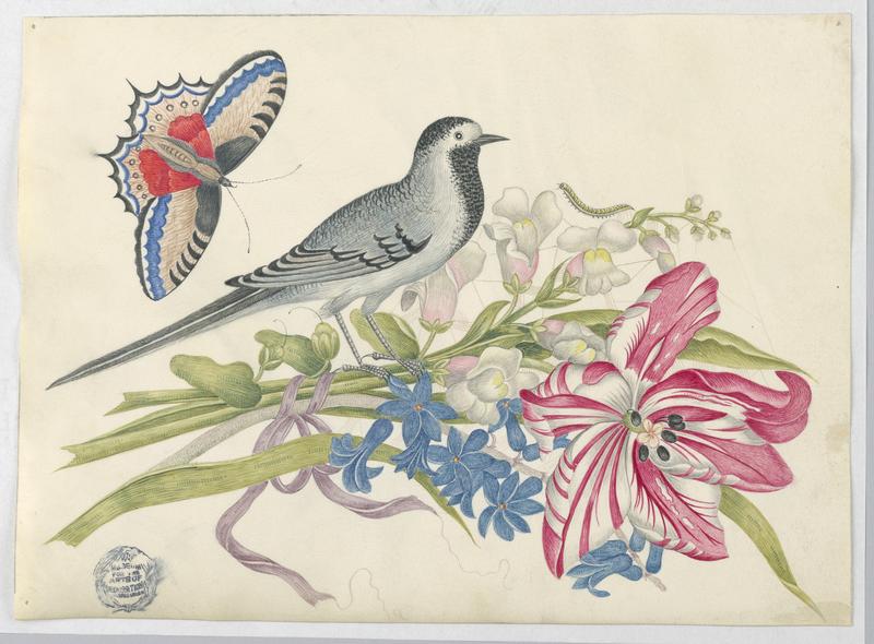 Gray Bird on Branch with Tulip, Snapdragons, and Forget-Me-Nots with Butterfly