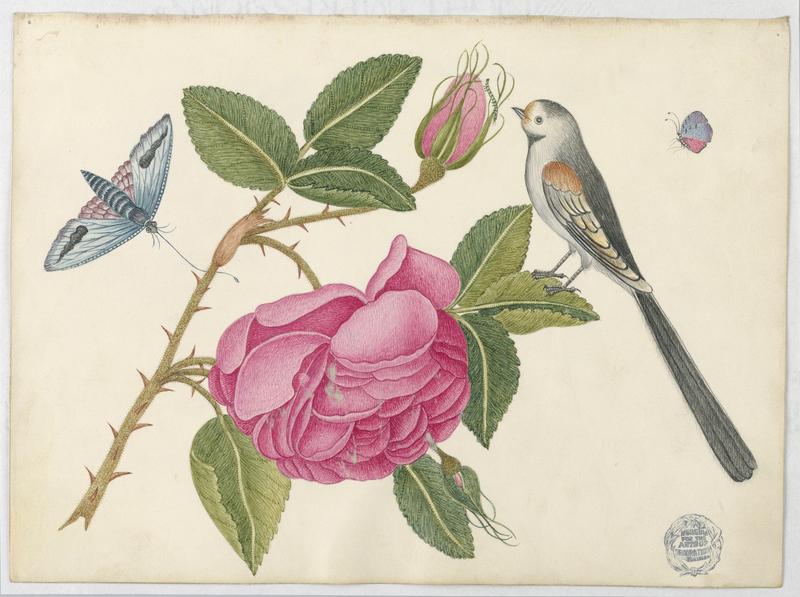 Small Black-and-White Bird on Rose Leaf with Blossoms and Butterflies