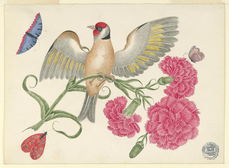 Brown Bird with Red Head on Carnation Stem with Butterflies