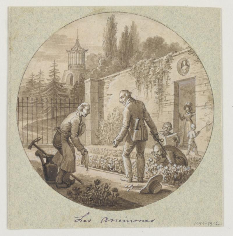 Design for a Painted Porcelain Plate, Les Anémones (Anemones) for the Service de la Culture des Fleurs (Flower Cultivation Service)