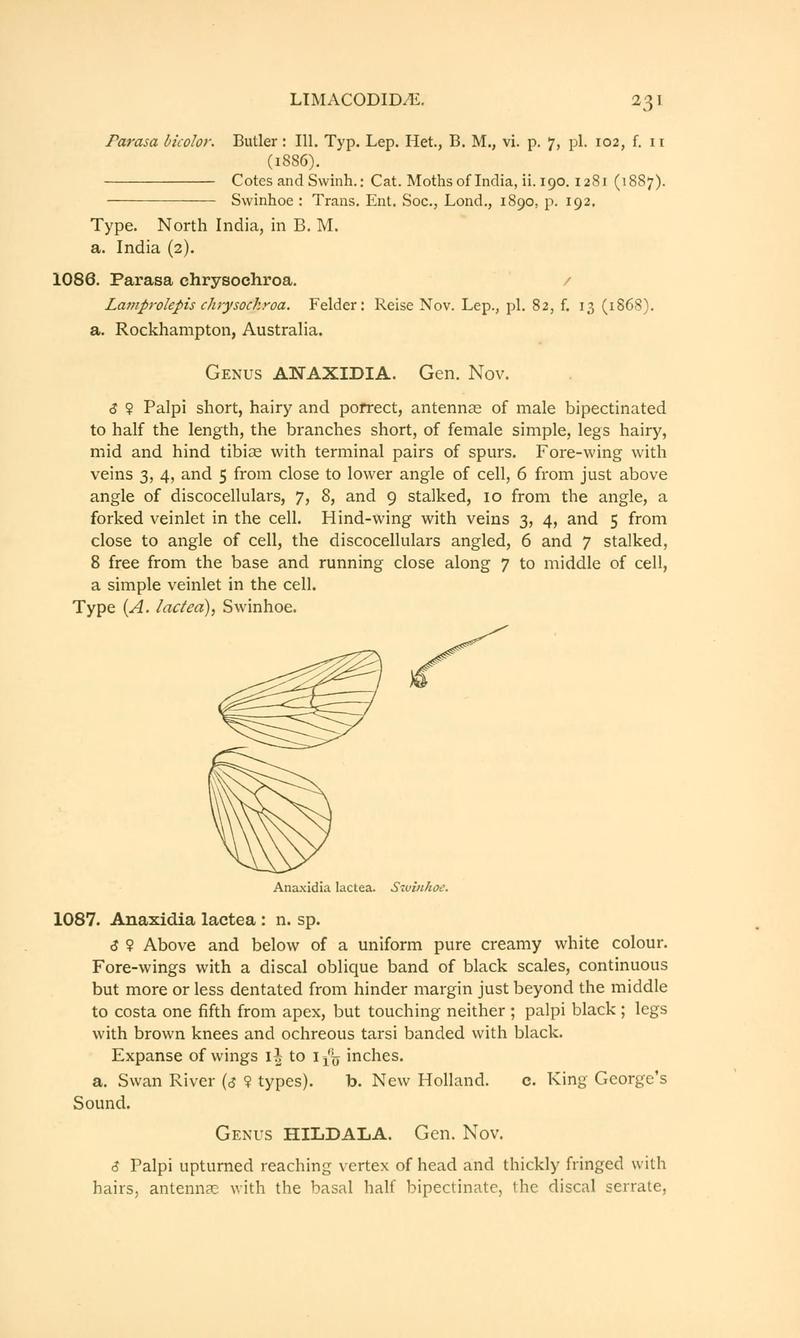 Catalogue of eastern and Australian Lepidoptera Heterocera in the collection of the Oxford University Museum (Page 231) BHL11077533