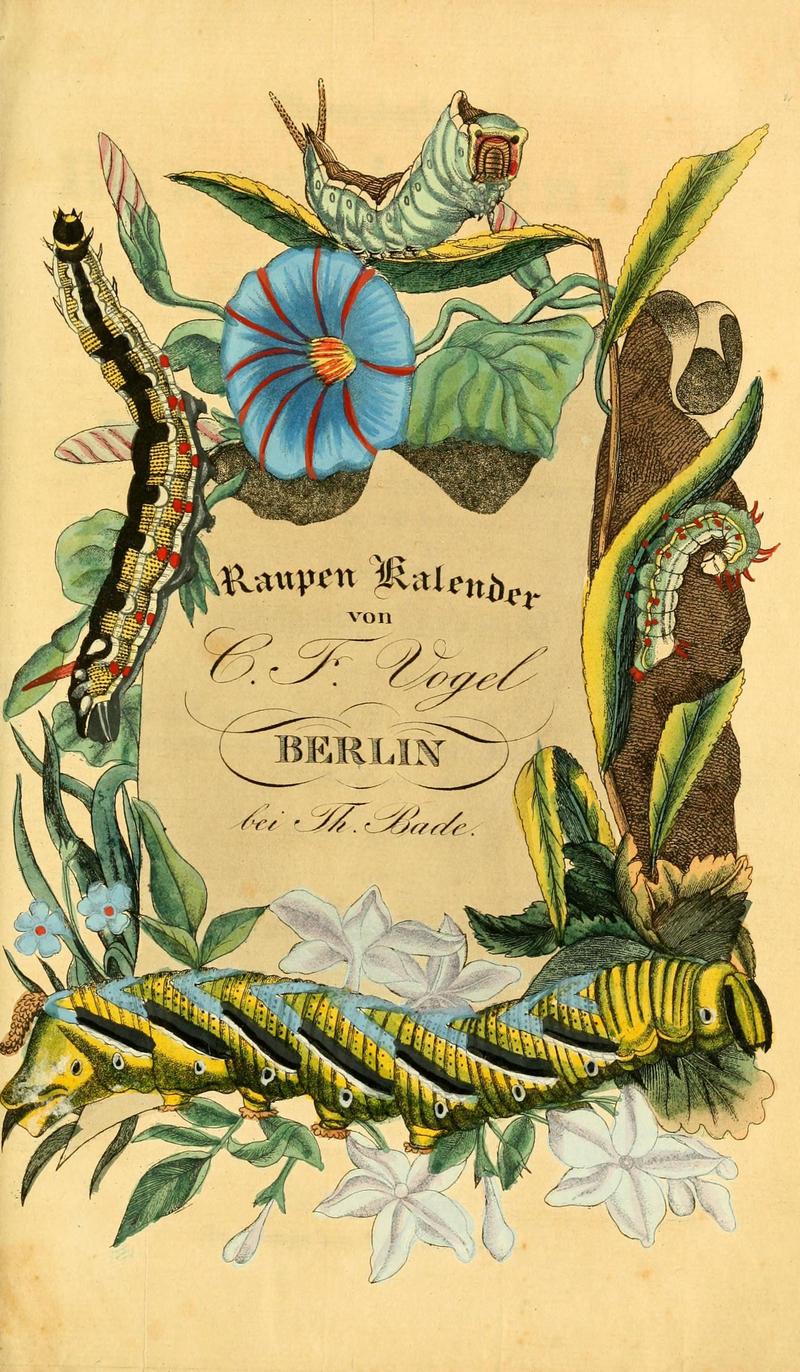 Chronologischer Raupenkalender, oder, Naturgeschichte der europäischen Raupen (6029993554)