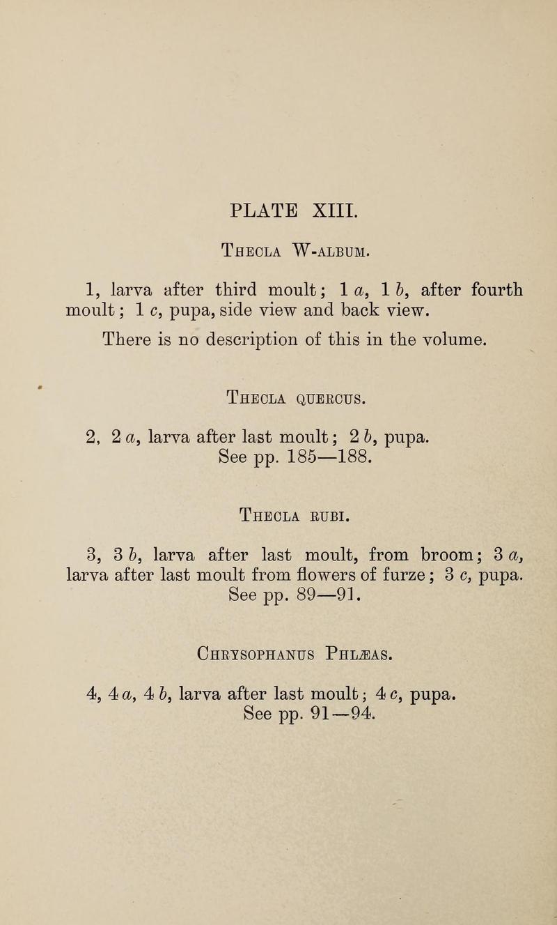 Ckler W The larvæ of the British butterflies and moths PlateXIIIText