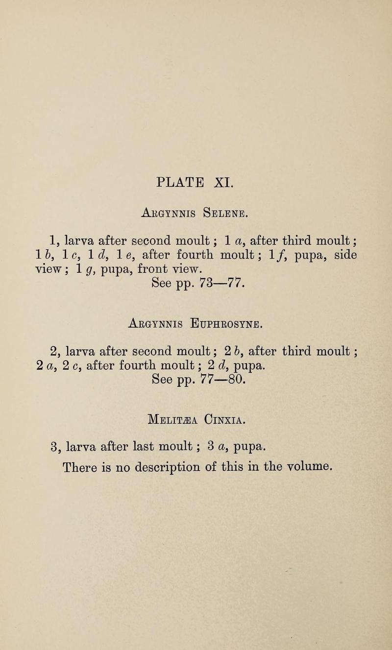 Ckler W The larvæ of the British butterflies and moths PlateXIText