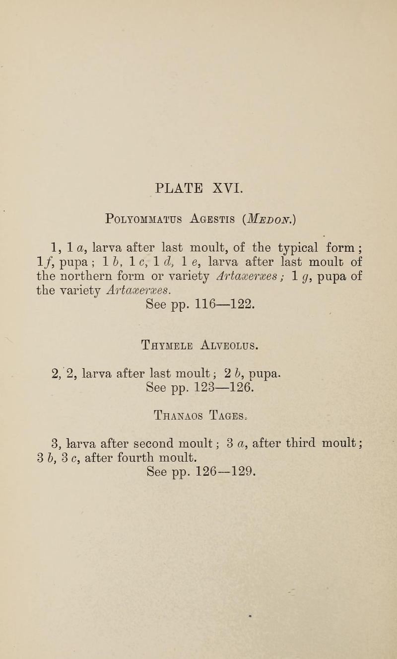 Ckler W The larvæ of the British butterflies and moths PlateXVIText