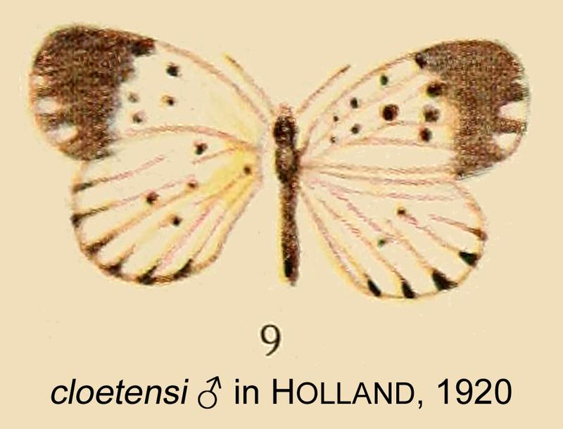 Cloetensi inHolland1920