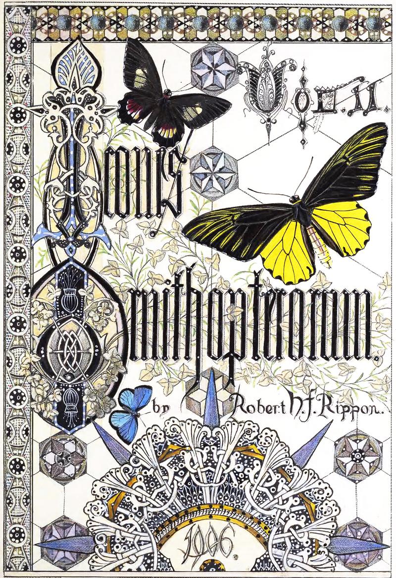 Cover of volume 2 of Icones ornithopterorum