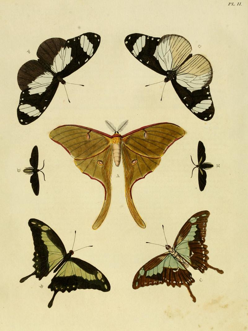 Cramer&Stoll-uitlandsche kapellen vol. 1- plate 002