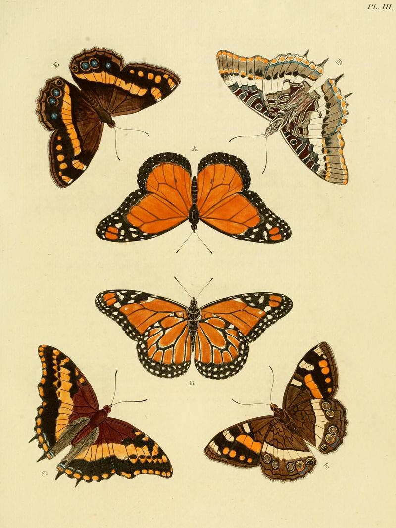 Cramer&Stoll-uitlandsche kapellen vol. 1- plate 003