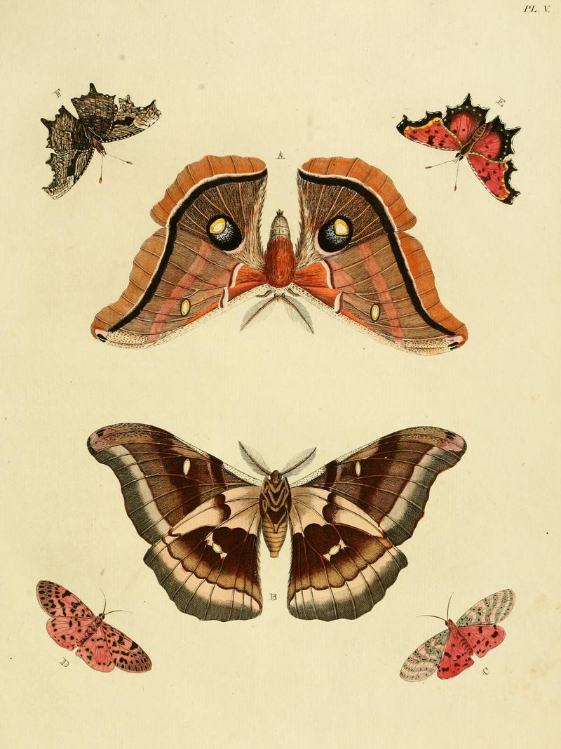 Cramer&Stoll-uitlandsche kapellen vol. 1- plate 005