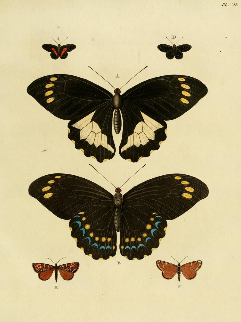 Cramer&Stoll-uitlandsche kapellen vol. 1- plate 007