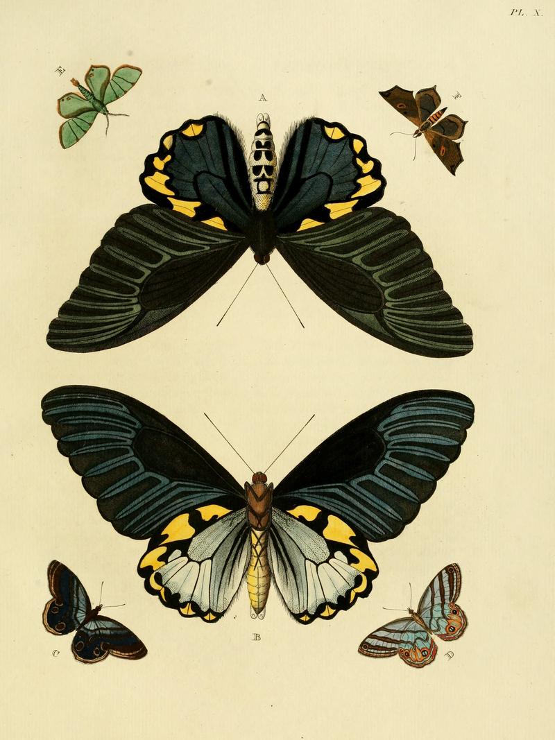 Cramer&Stoll-uitlandsche kapellen vol. 1- plate 010