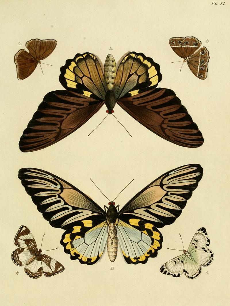 Cramer&Stoll-uitlandsche kapellen vol. 1- plate 011