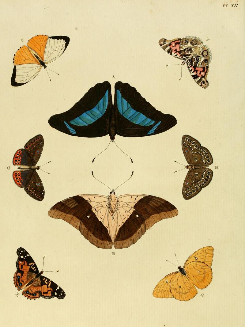 Cramer&Stoll-uitlandsche kapellen vol. 1- plate 012