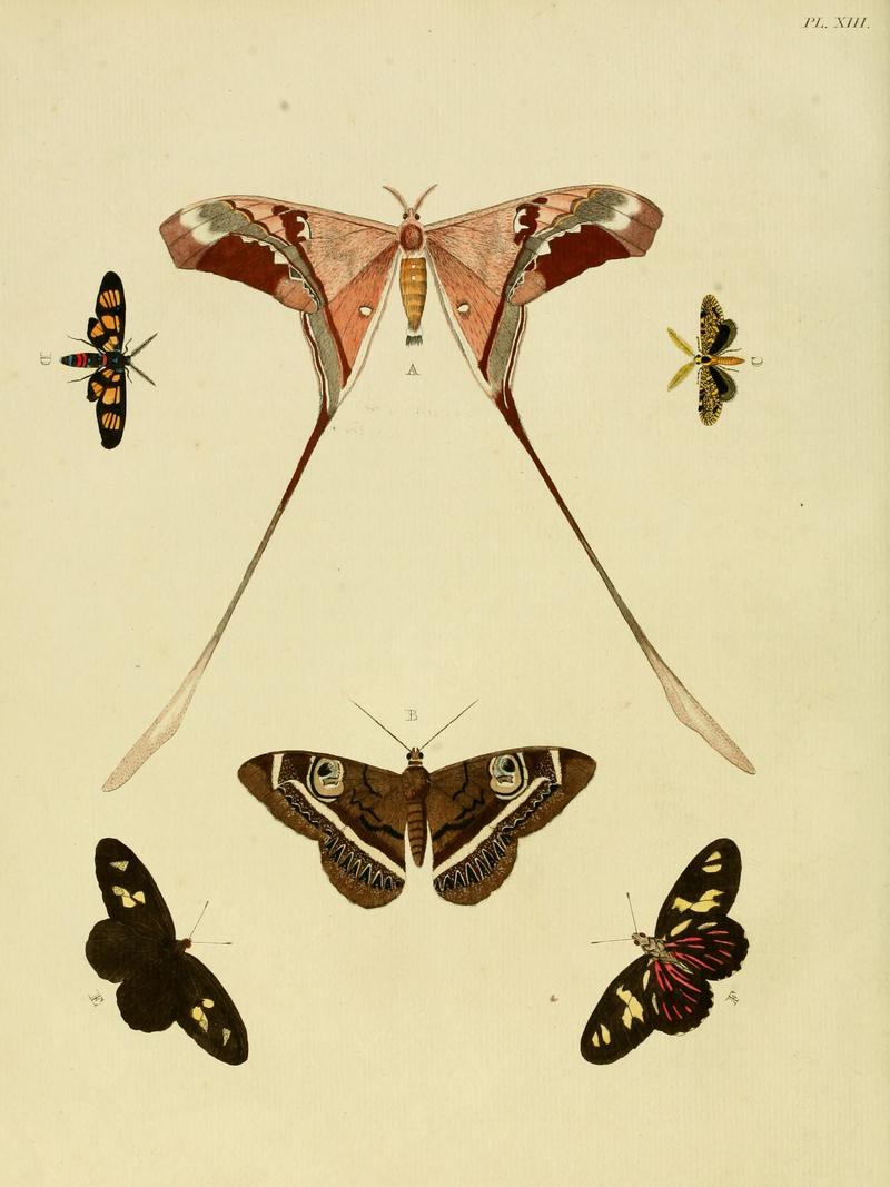 Cramer&Stoll-uitlandsche kapellen vol. 1- plate 013