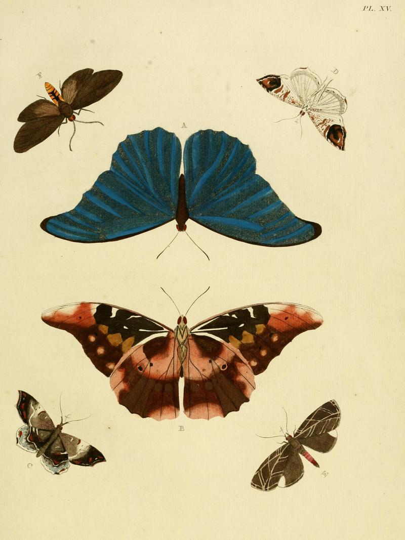 Cramer&Stoll-uitlandsche kapellen vol. 1- plate 015