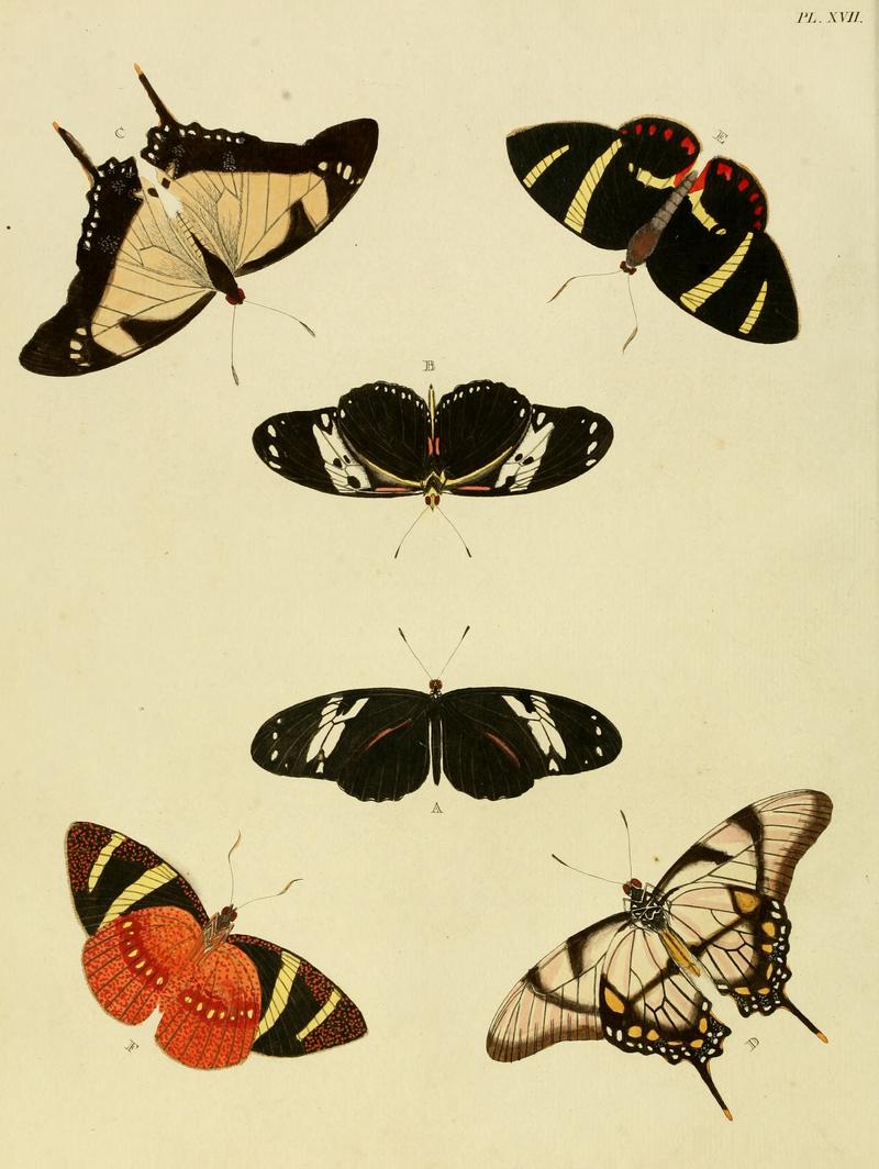 Cramer&Stoll-uitlandsche kapellen vol. 1- plate 017