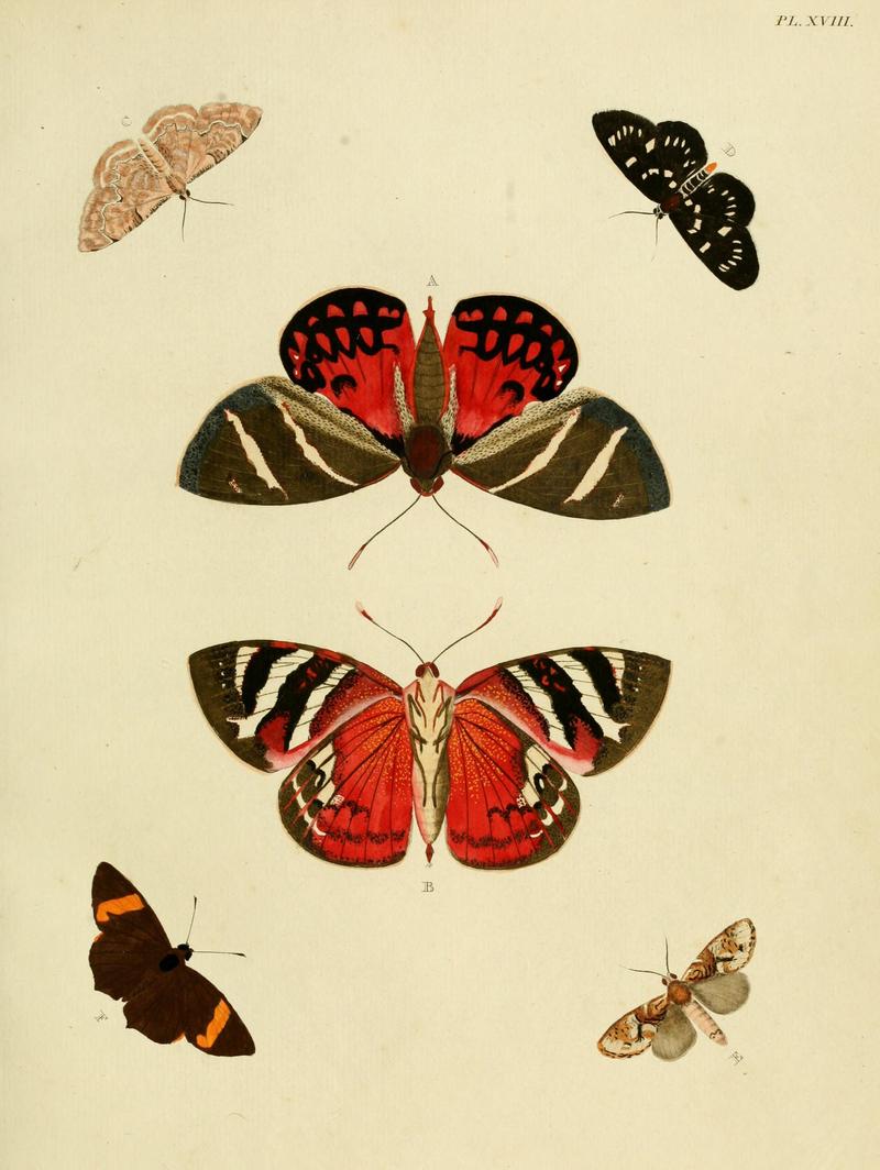 Cramer&Stoll-uitlandsche kapellen vol. 1- plate 018