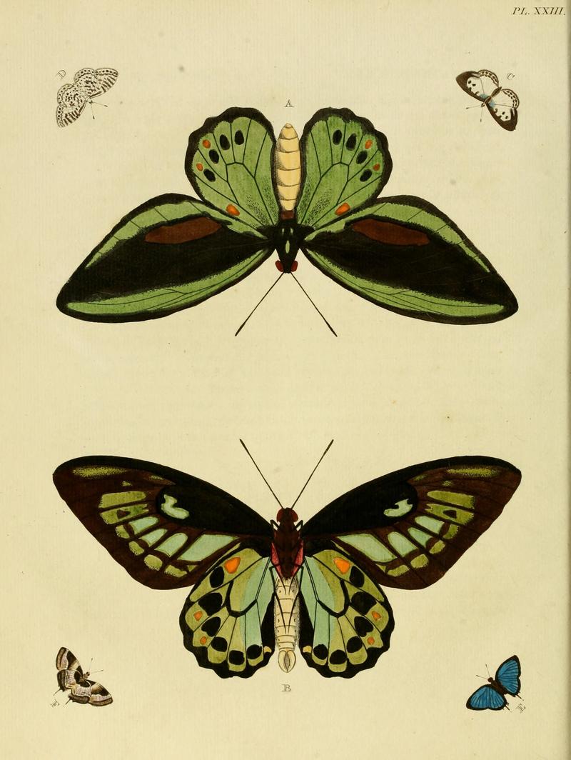 Cramer&Stoll-uitlandsche kapellen vol. 1- plate 023