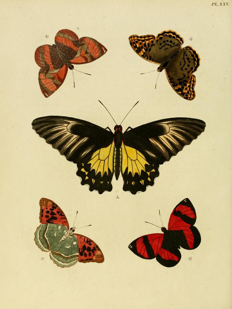 Cramer&Stoll-uitlandsche kapellen vol. 1- plate 025