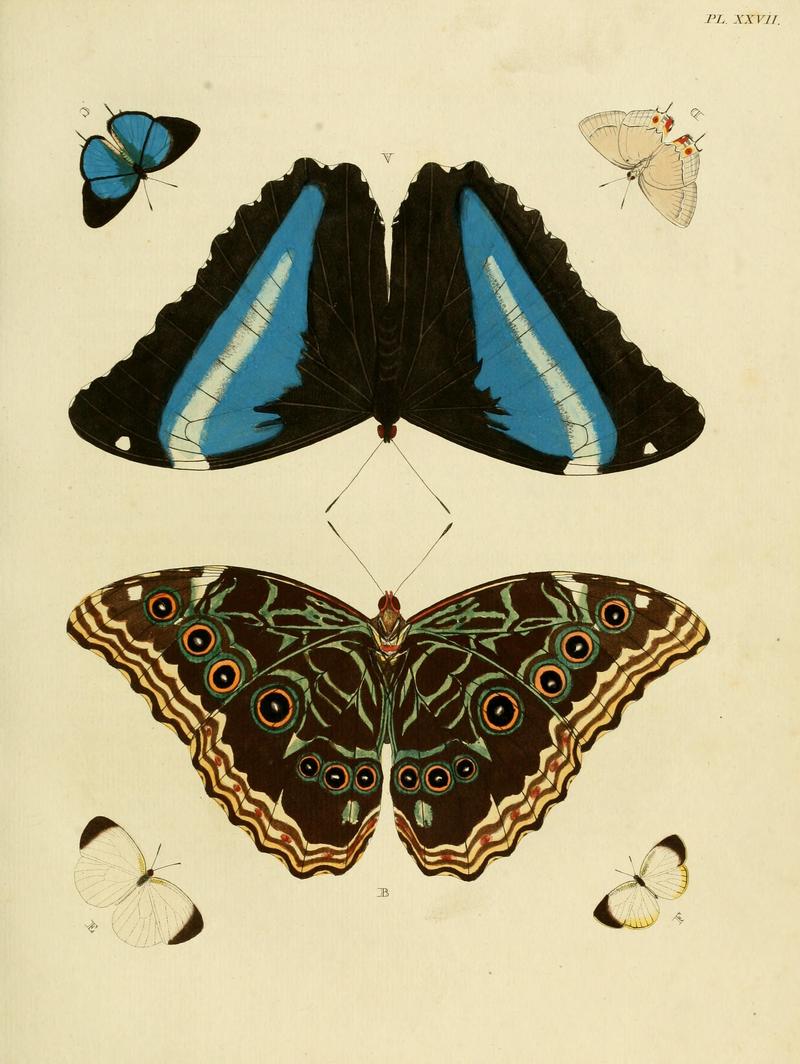 Cramer&Stoll-uitlandsche kapellen vol. 1- plate 027