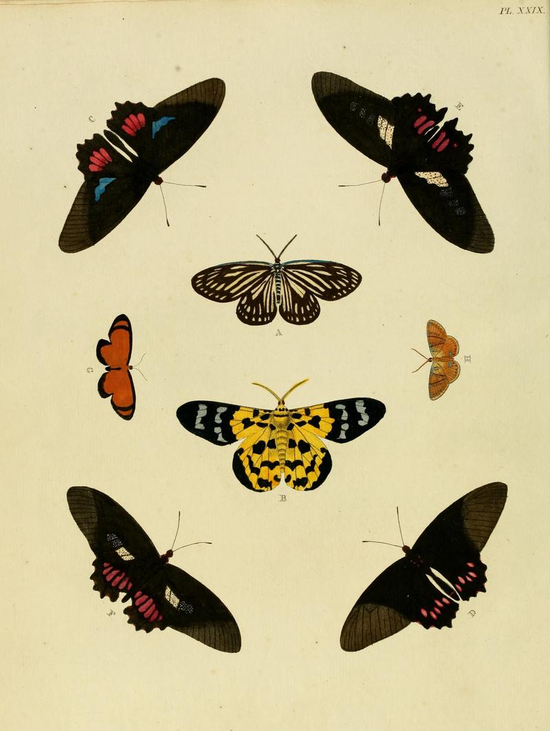 Cramer&Stoll-uitlandsche kapellen vol. 1- plate 029