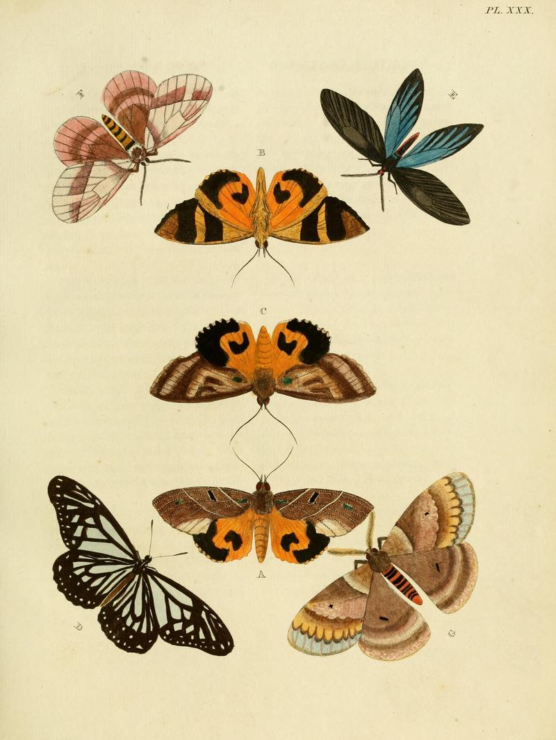 Cramer&Stoll-uitlandsche kapellen vol. 1- plate 030