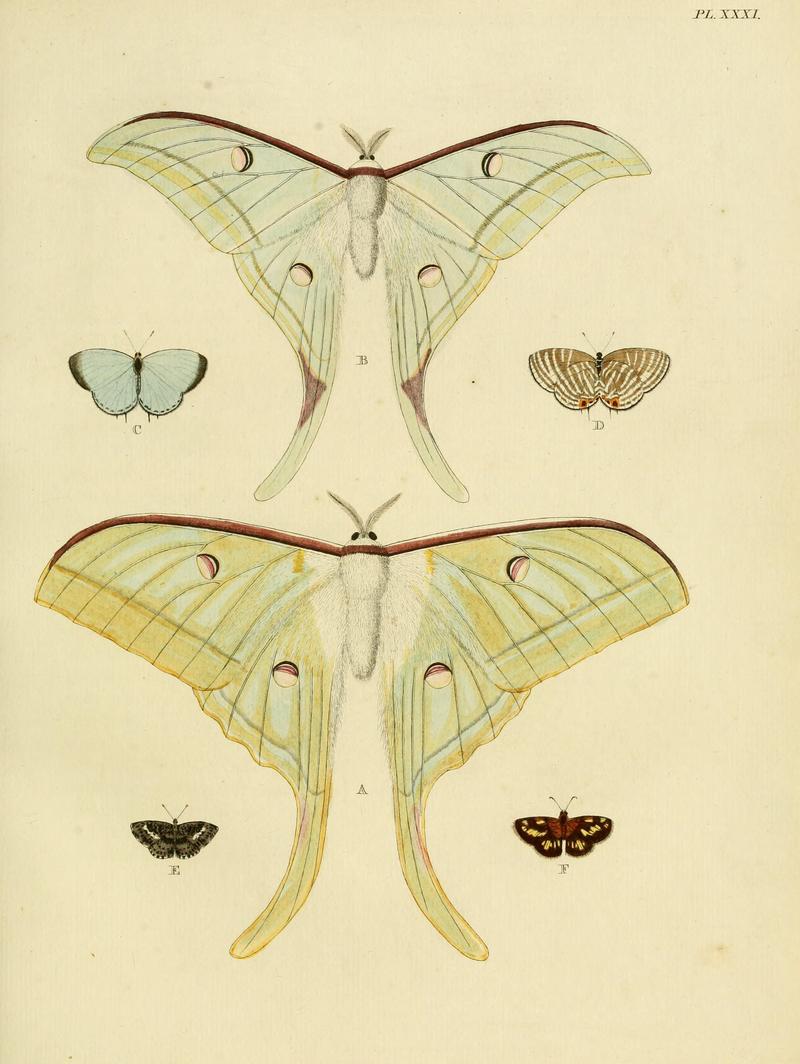 Cramer&Stoll-uitlandsche kapellen vol. 1- plate 031