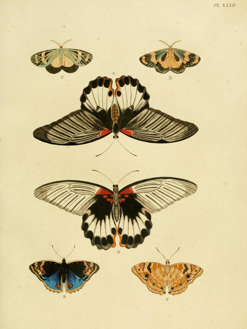 Cramer&Stoll-uitlandsche kapellen vol. 1- plate 032