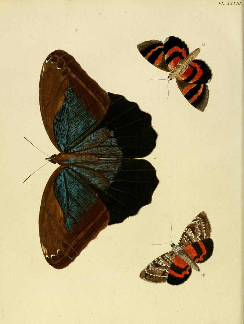 Cramer&Stoll-uitlandsche kapellen vol. 1- plate 033