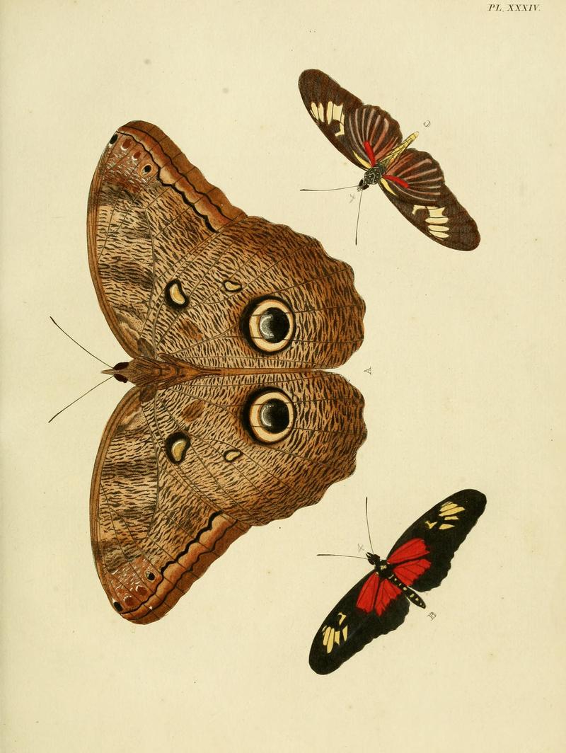 Cramer&Stoll-uitlandsche kapellen vol. 1- plate 034