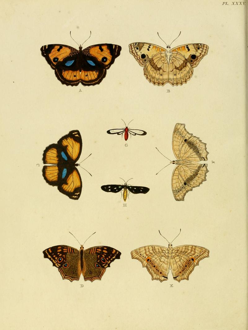 Cramer&Stoll-uitlandsche kapellen vol. 1- plate 035