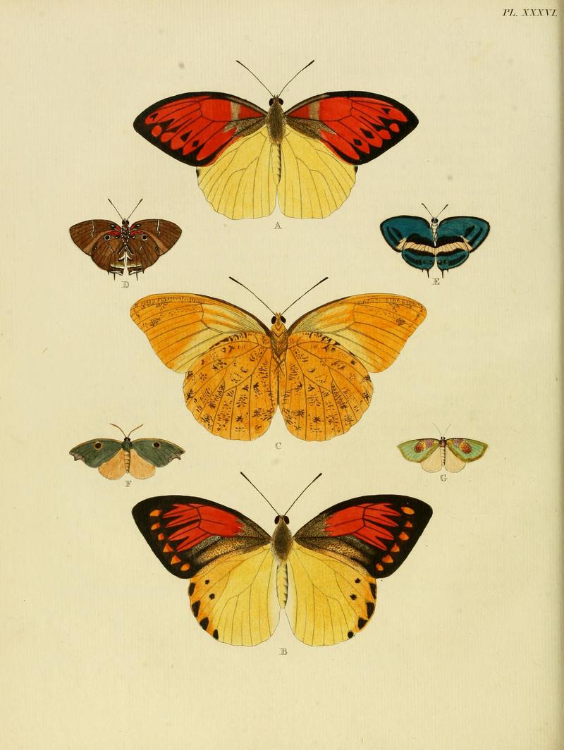 Cramer&Stoll-uitlandsche kapellen vol. 1- plate 036