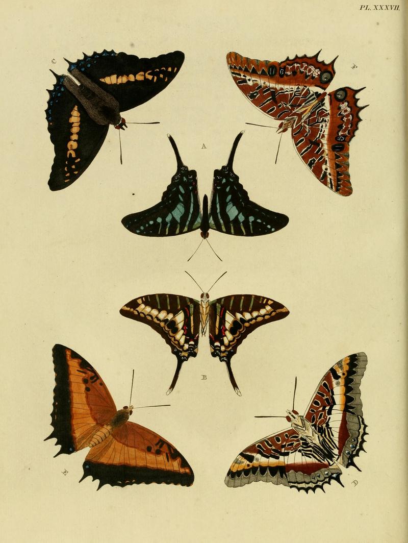 Cramer&Stoll-uitlandsche kapellen vol. 1- plate 037