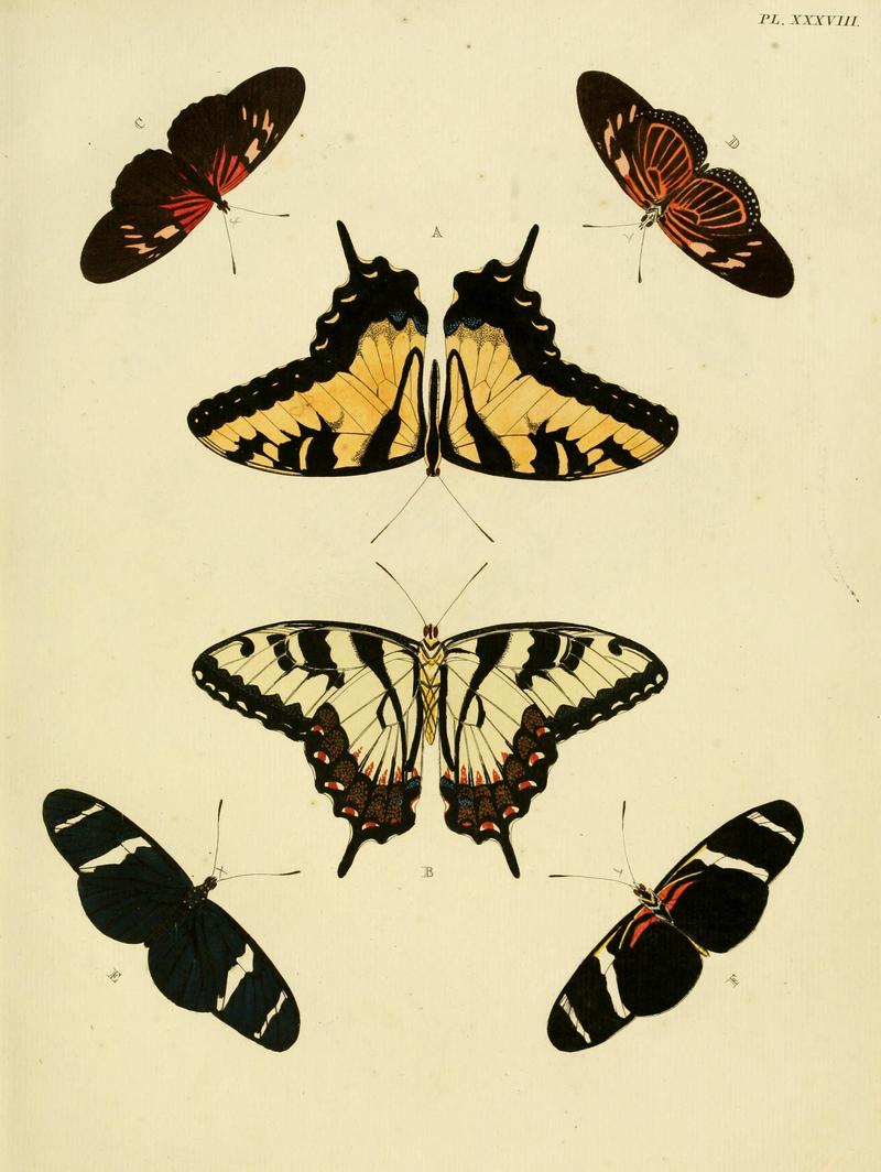 Cramer&Stoll-uitlandsche kapellen vol. 1- plate 038