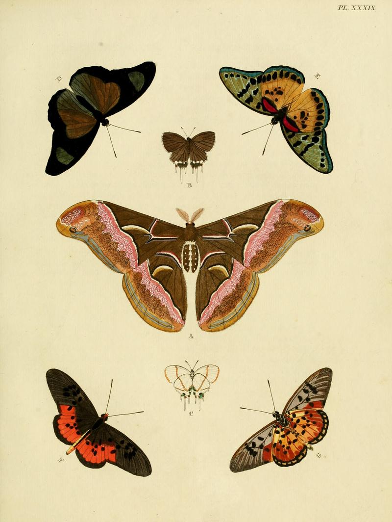 Cramer&Stoll-uitlandsche kapellen vol. 1- plate 039