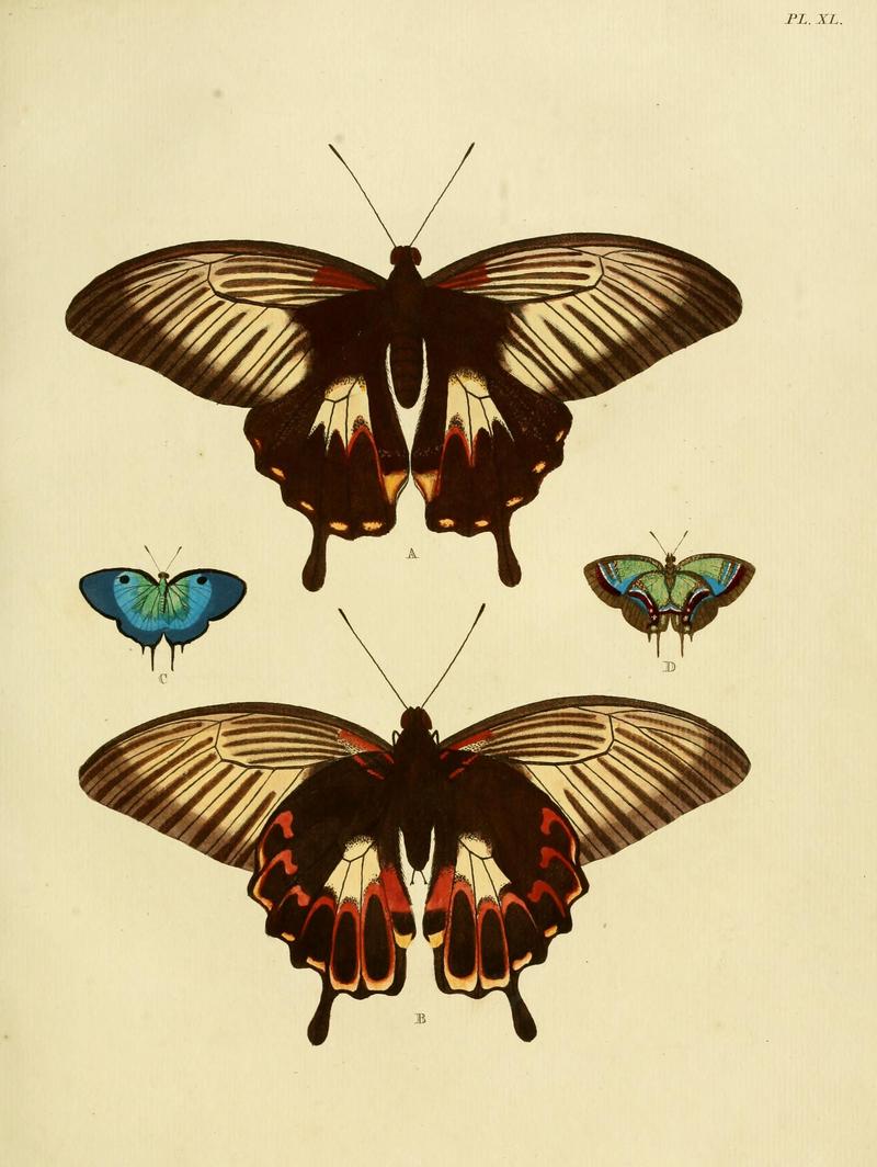 Cramer&Stoll-uitlandsche kapellen vol. 1- plate 040