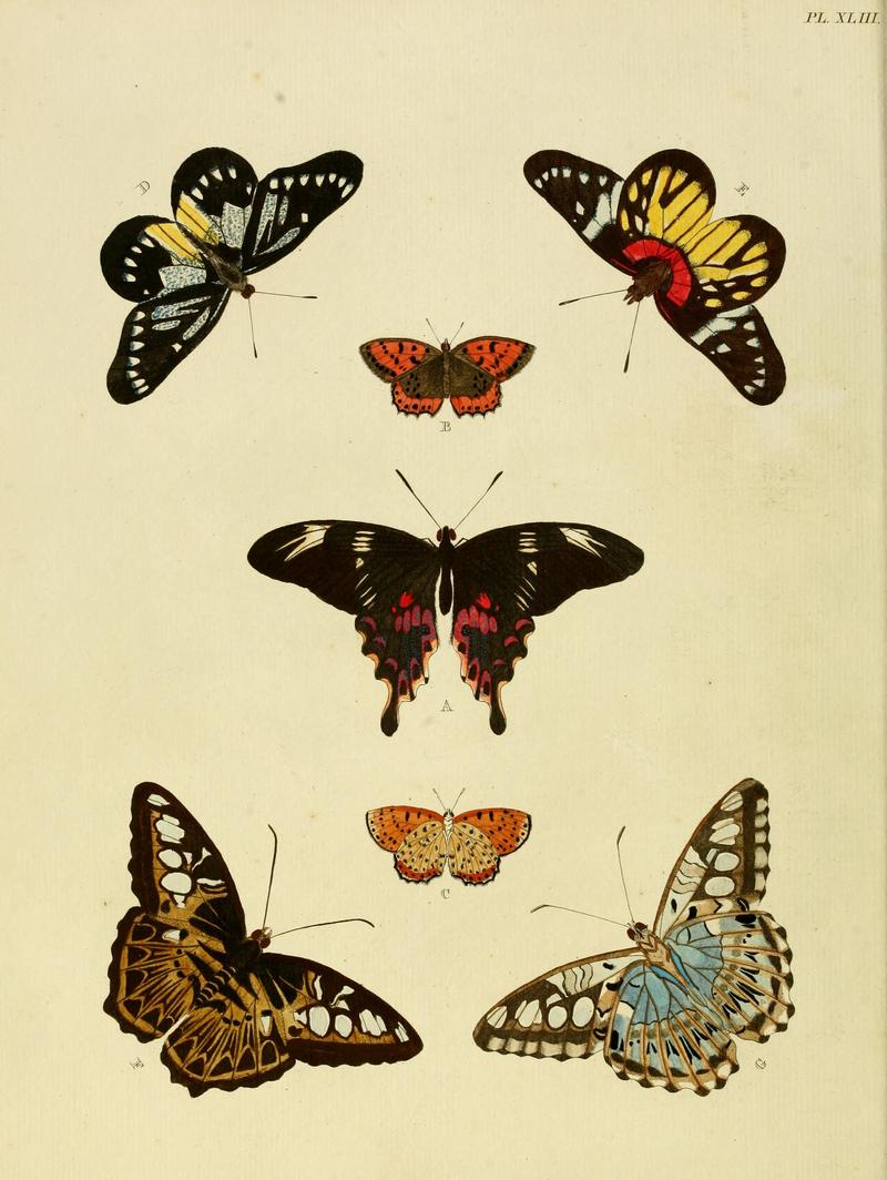 Cramer&Stoll-uitlandsche kapellen vol. 1- plate 043