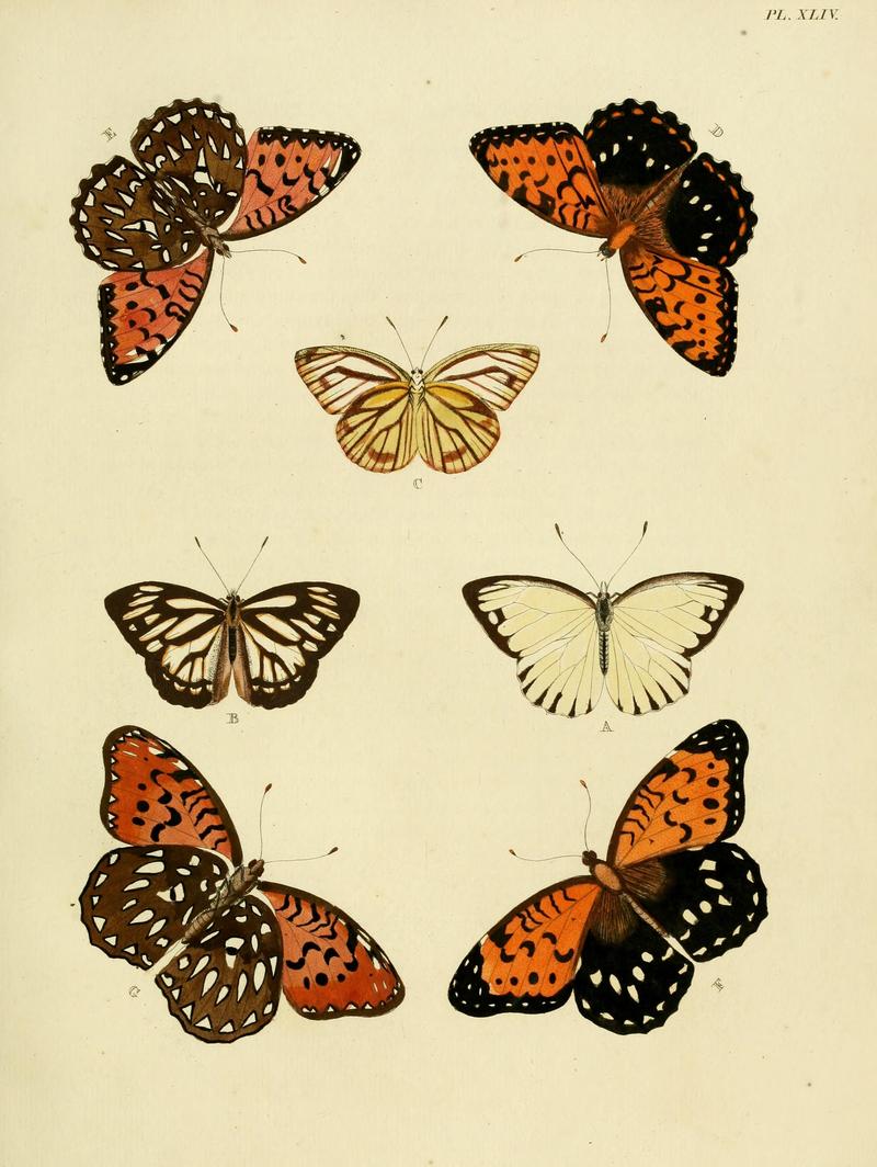 Cramer&Stoll-uitlandsche kapellen vol. 1- plate 044