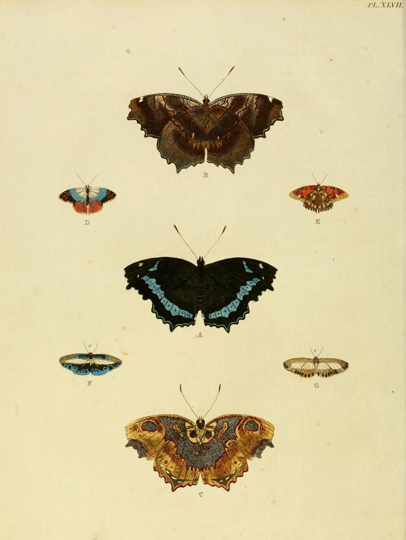 Cramer&Stoll-uitlandsche kapellen vol. 1- plate 047