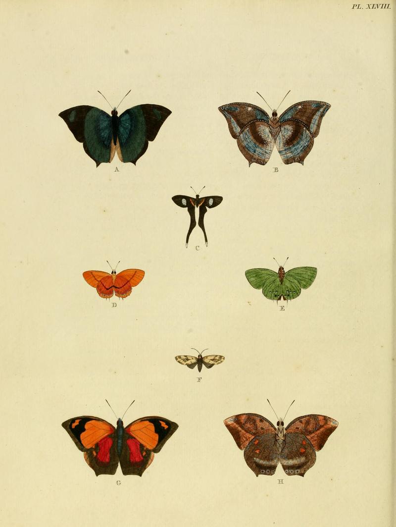 Cramer&Stoll-uitlandsche kapellen vol. 1- plate 048