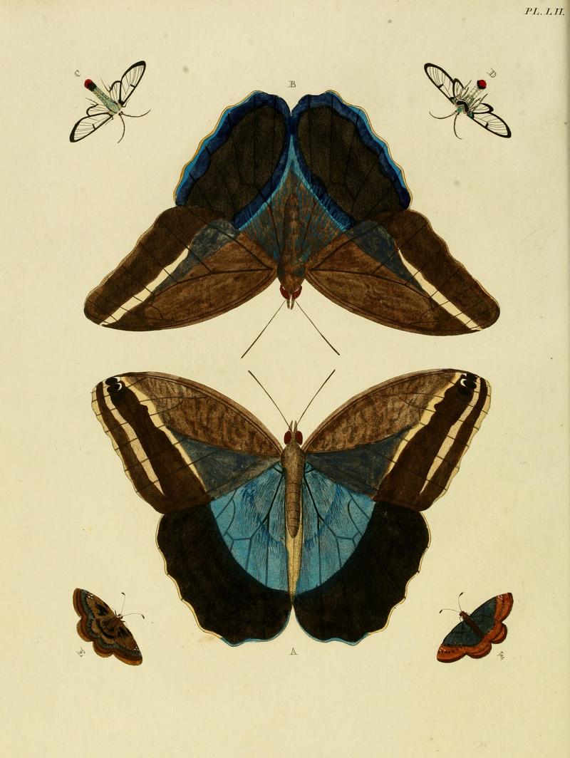 Cramer&Stoll-uitlandsche kapellen vol. 1- plate 052