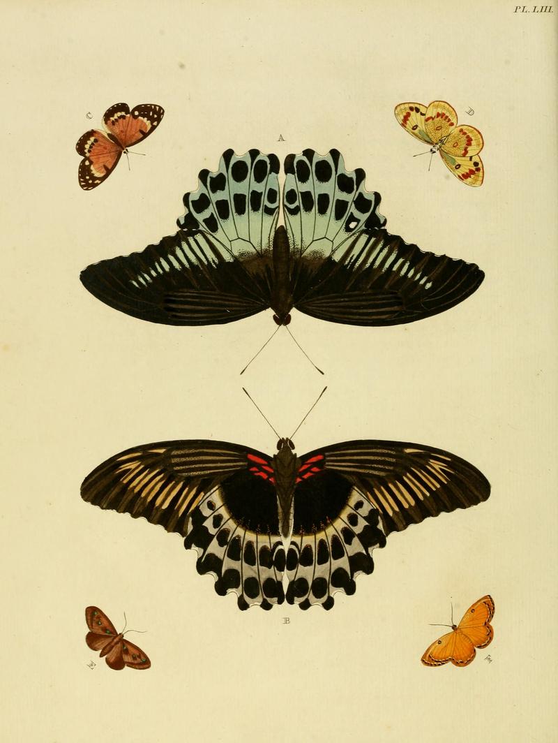 Cramer&Stoll-uitlandsche kapellen vol. 1- plate 053