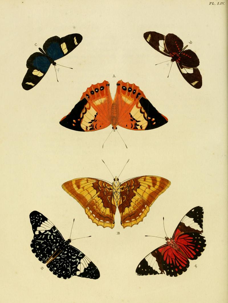 Cramer&Stoll-uitlandsche kapellen vol. 1- plate 054