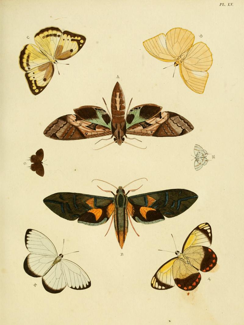 Cramer&Stoll-uitlandsche kapellen vol. 1- plate 055
