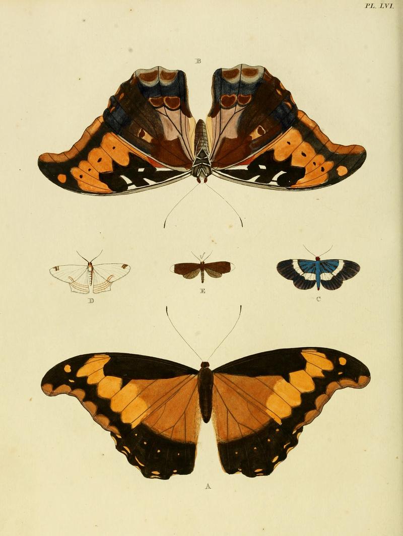 Cramer&Stoll-uitlandsche kapellen vol. 1- plate 056