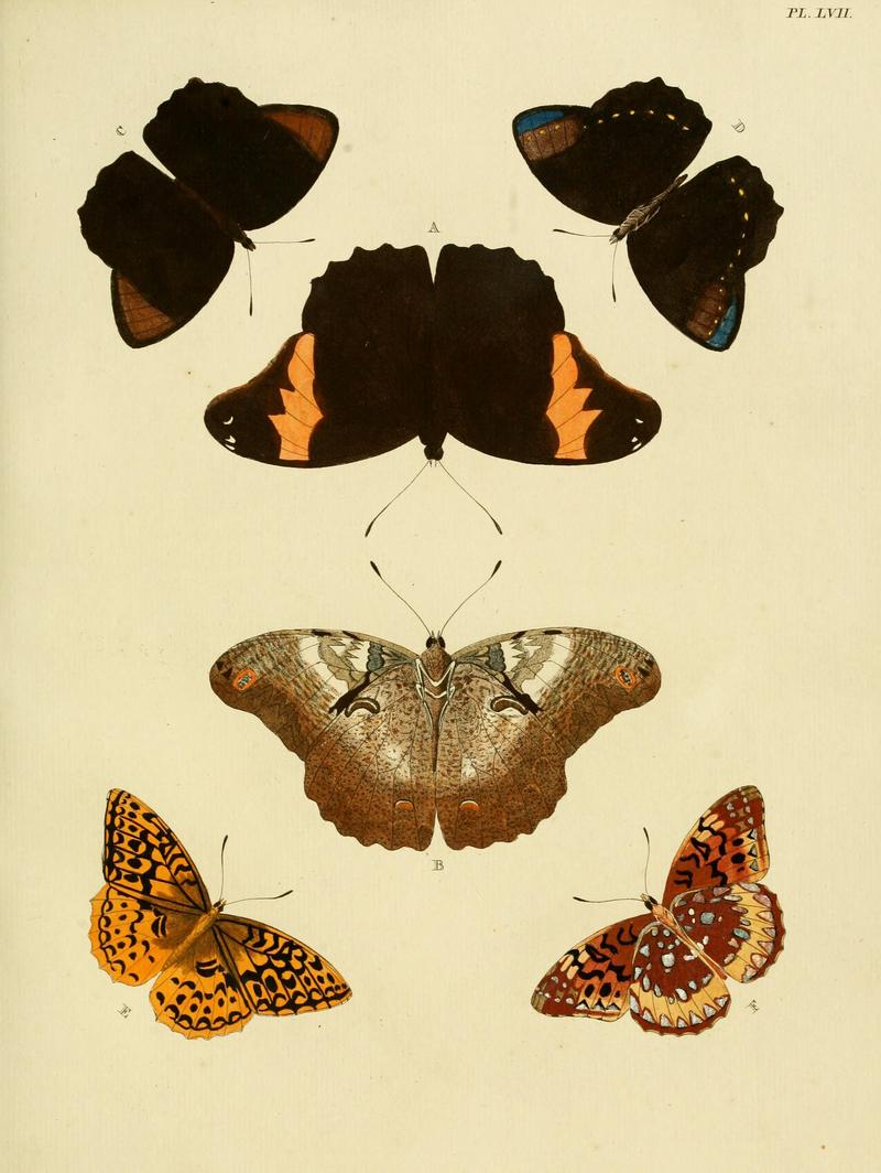 Cramer&Stoll-uitlandsche kapellen vol. 1- plate 057